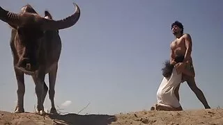 الراية الملاعين فلم سكسي برطاني المرؤوس.