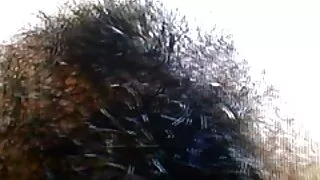 كينت يحب فلم سكسي كامل مجنون الحوريات شرجيا.
