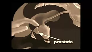 مكتب سحاق ممتع اريد فيلم سكسي فرنسي الصديقات.