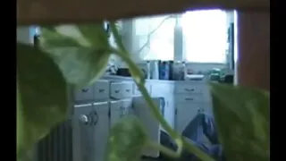 جنس لطيف افلام سكسية جديد على الشاطئ في الدومينيكان مع فتاة لاتينية محلية.