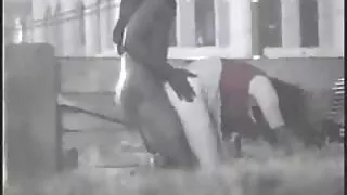 الروسية يأخذ قذف مني في الفم بعد نيك مقاطع سكسي عراقي جامد.